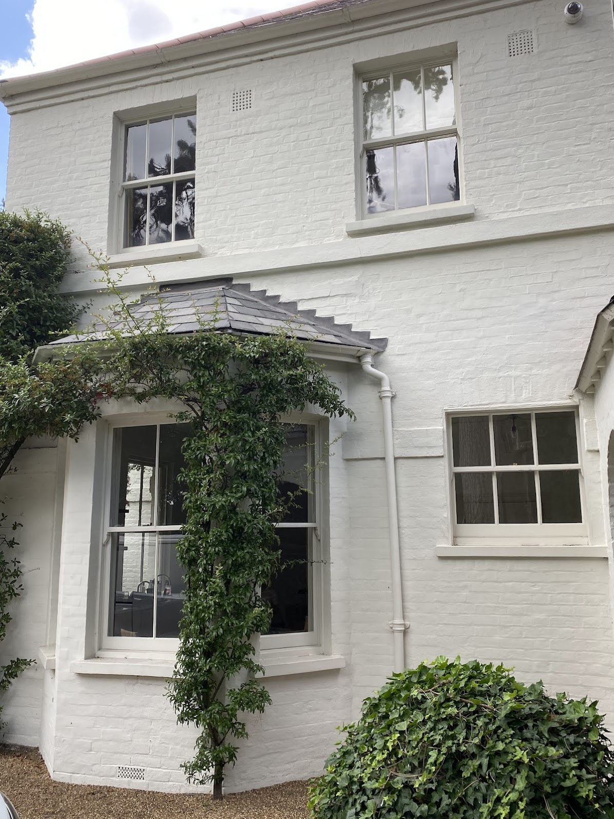 White-painted brick house exterior with green climbing plant on the wall, bay window, elegant sash windows Cambridge style, and some bushes in front.